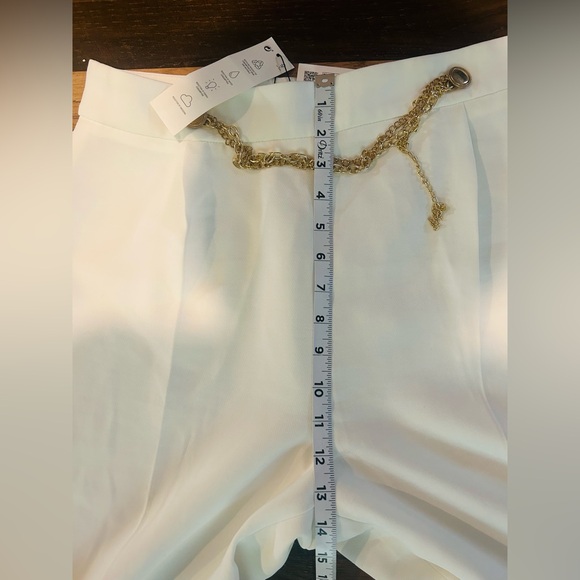 ZARA Pants - Picture 7 of 14